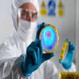 محیط کشت سلولی